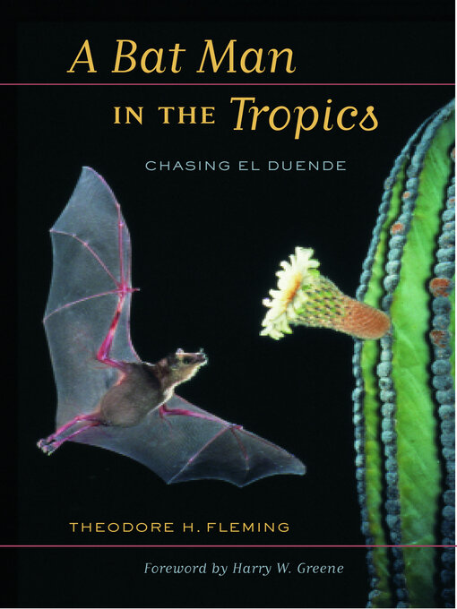 Cover image for A Bat Man in the Tropics